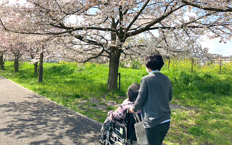 はなあかりお花見記念写真3